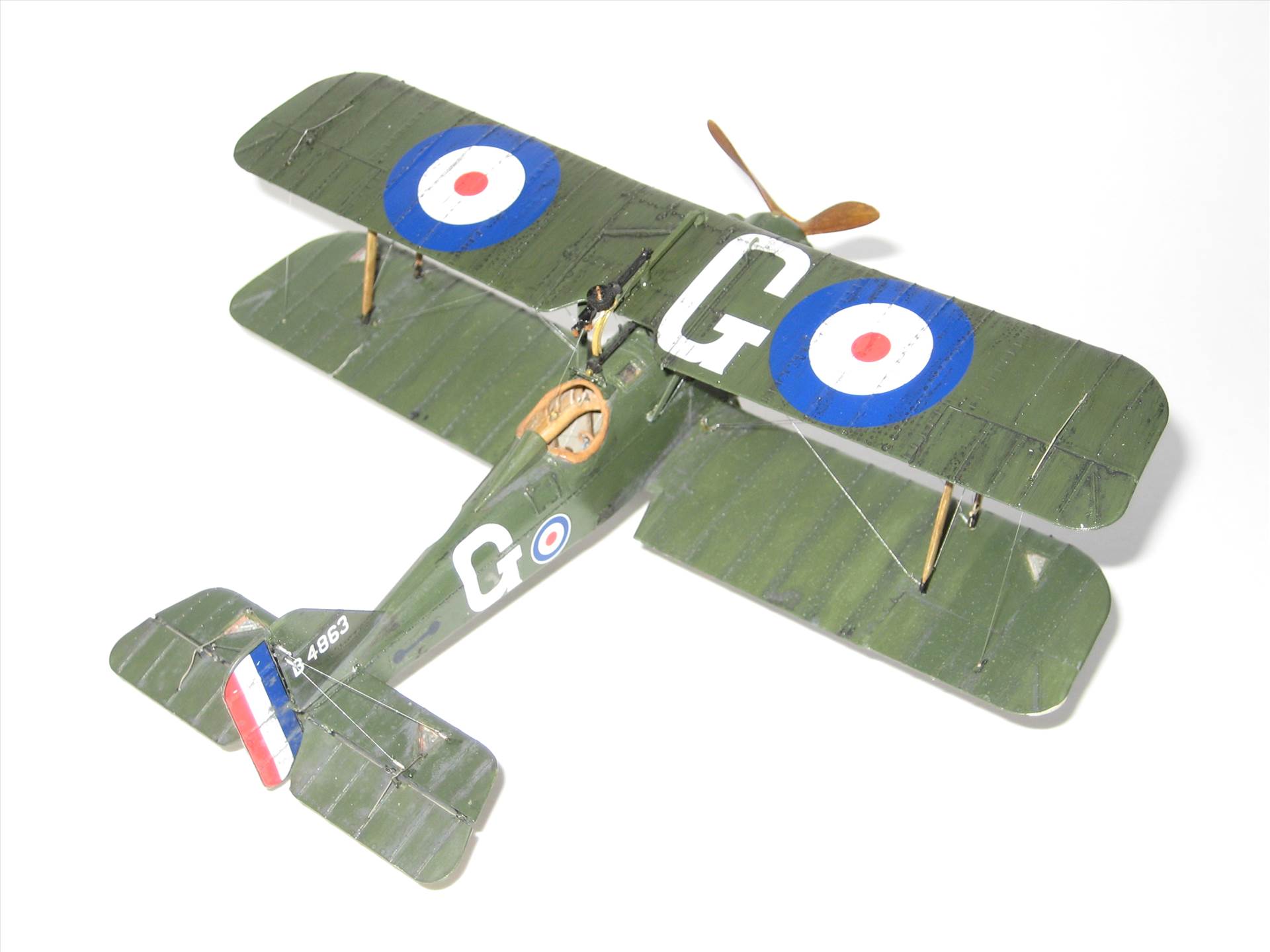 IMG_5226.JPG  by Sweaty