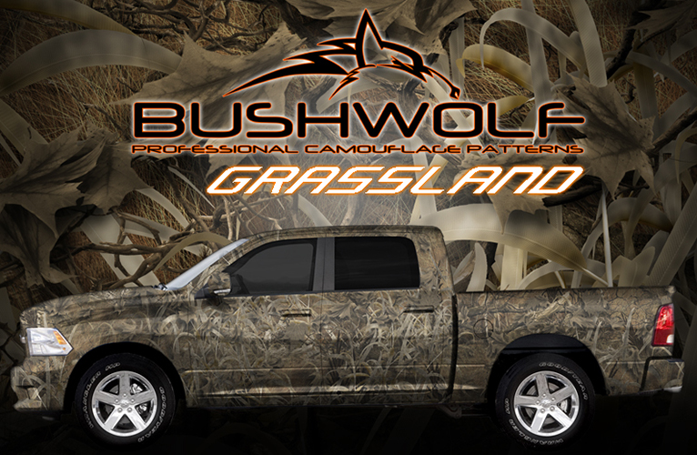 bushwolf_grasslands_poster.jpg  by Michael