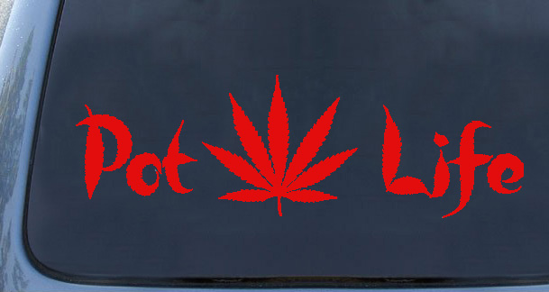 pot life red.jpg  by Michael