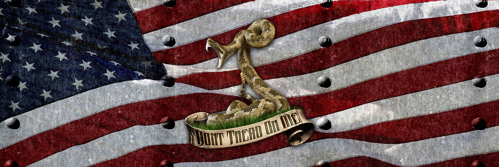 riveted_american_hd_snake_ebay.jpg  by Michael