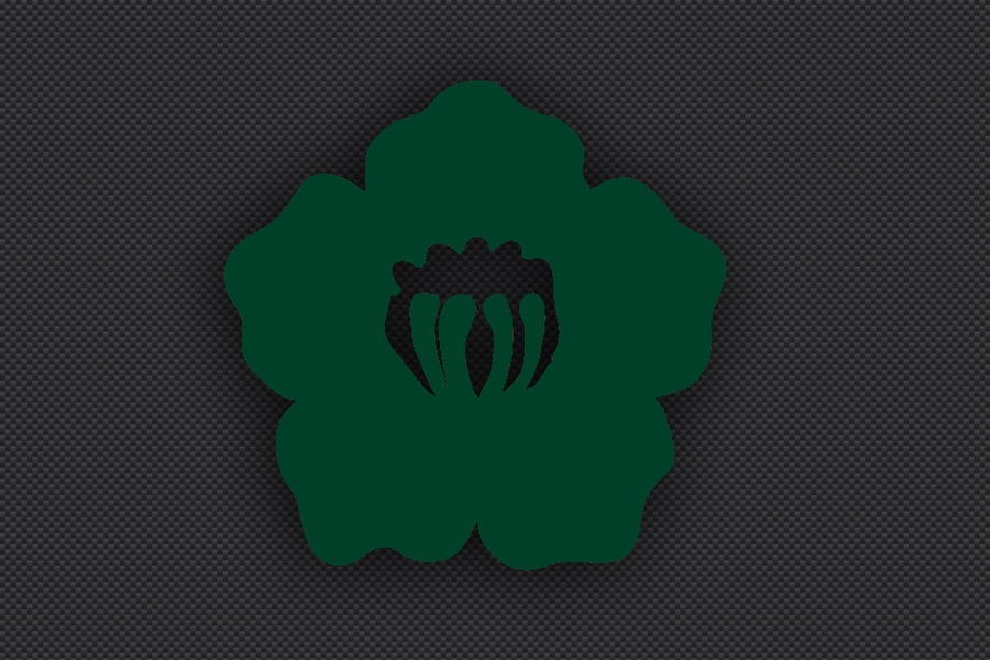 6th_Division_Insignia_Green.jpg  by Michael