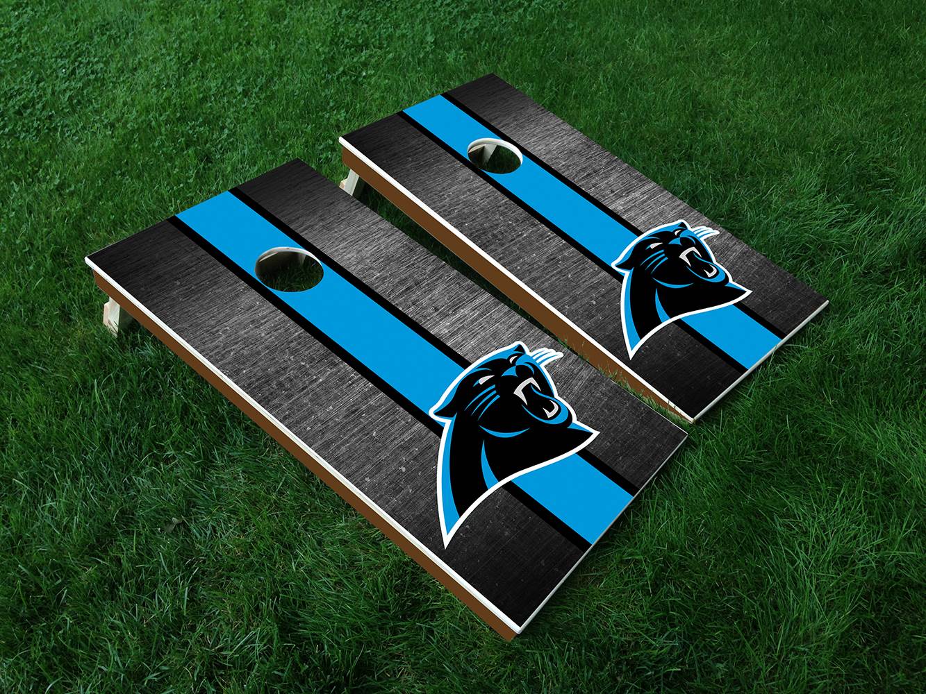 panthers_MockUp.jpg  by Michael