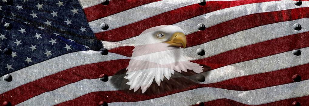 AmericanFlagTXrivets_Eagle_Head_ebay.jpg by Michael