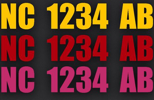 Boat number yellow red pink.jpg - 