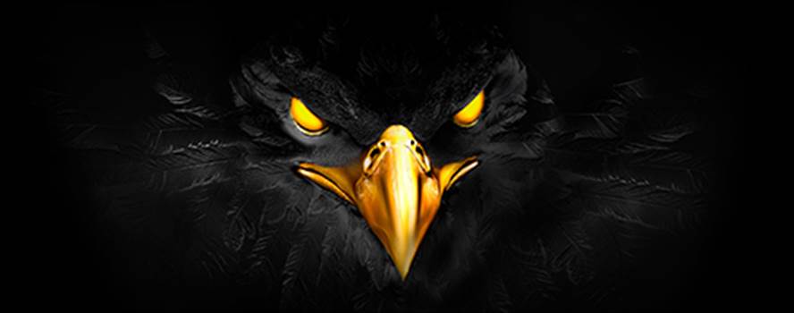 Black-Eagle.jpg by Michael