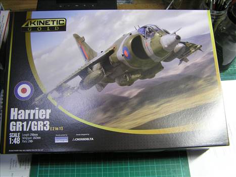 Kinetic Harrier gr3.JPG by warby22