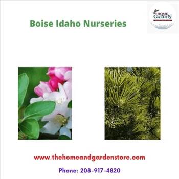 Boise Idaho nurseries by Thehomeandgardenstore