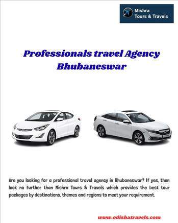 Professionals travel Agency Bhubaneswar by Odishatravels