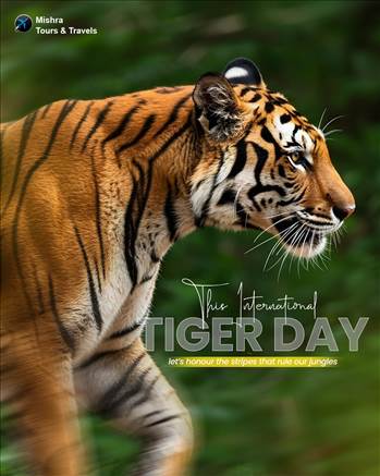 odisha tours and travels Agency Bhubaneswar by Odishatravels