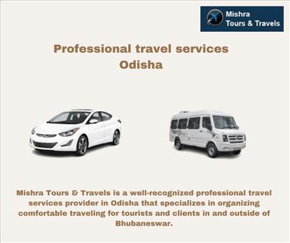 Professional travel services Odisha by Odishatravels