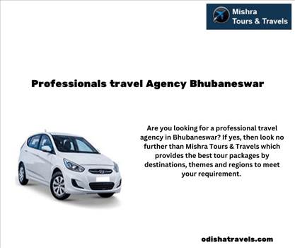 Professionals travel Agency Bhubaneswar by Odishatravels