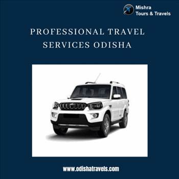 Professional travel services Odisha by Odishatravels