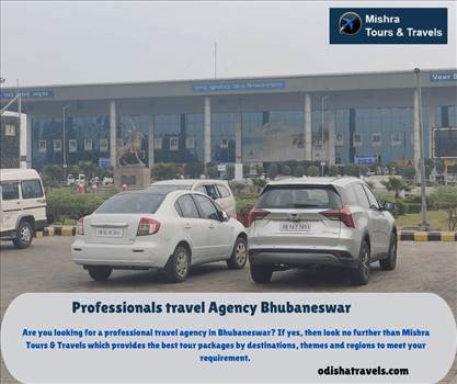 Professionals travel Agency Bhubaneswar by Odishatravels