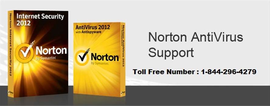 norton-support (1).jpg by hptechnical