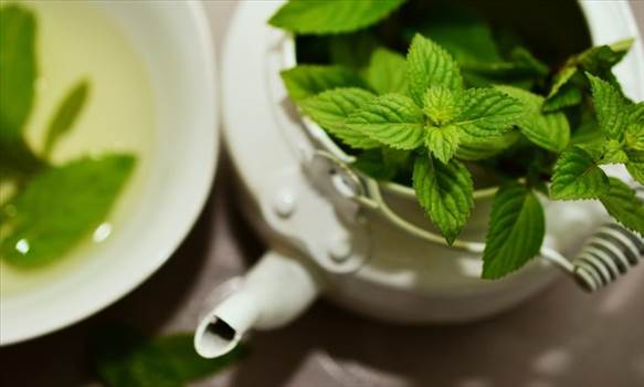Peppermint is an ancient herb and dates again to early 1500 BC. The historical Egyptians used to position the dried leaves of peppermint on the tombs maximum possibly for its sparkling robust scent.
Visit More-
https://www.technewsera.com/peppermint-oil