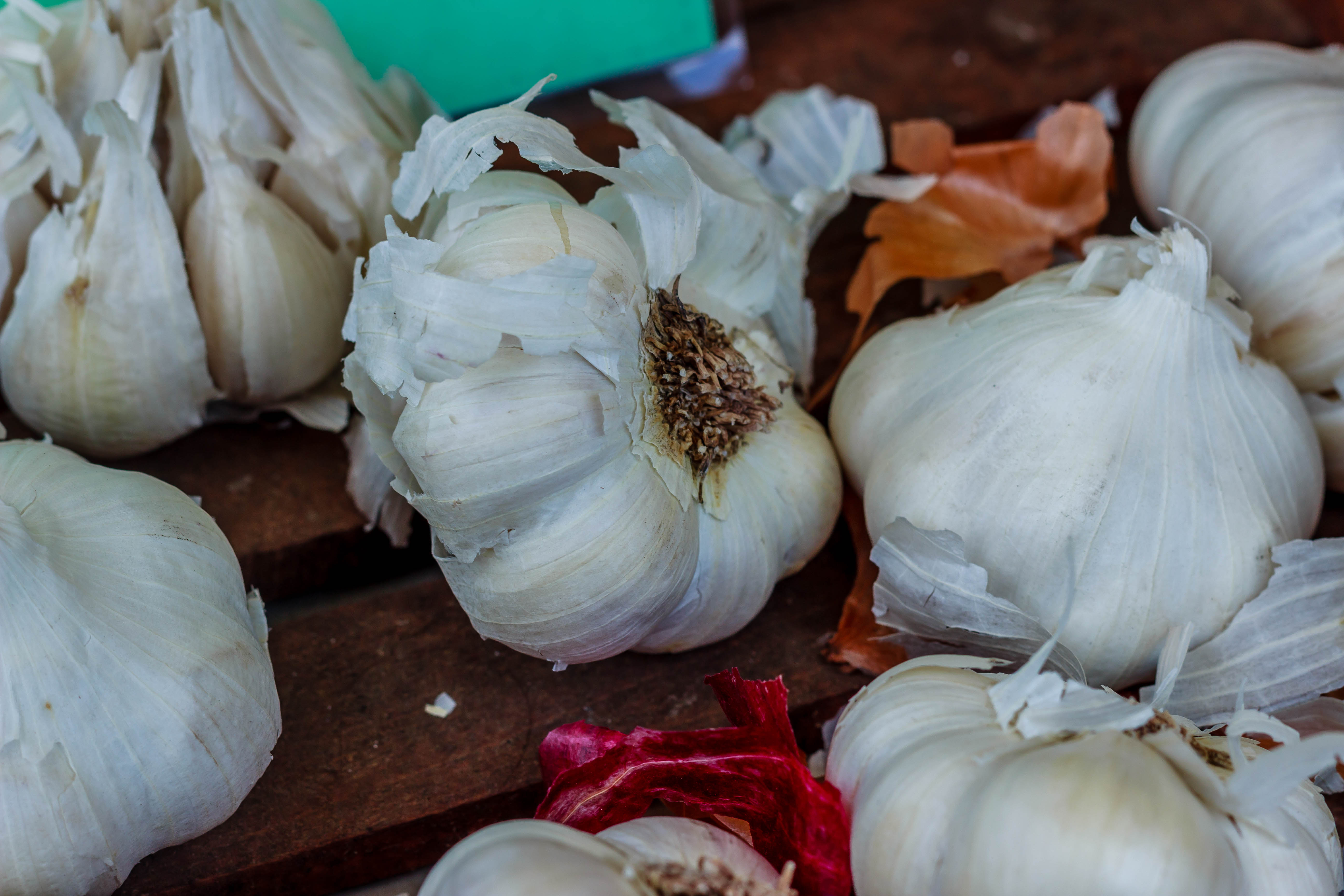 Garlic Bulb Fresh garlic on display.  Grown right in New Jersey. by Lunara Creative Photography