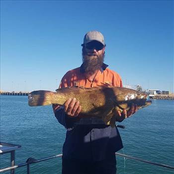 Aquaticadventureexmouth Fishing Charters in exmouth wa provides access to the highest quality fishing charters. Choose from offshore fishing, inshore fishing, deep sea fishing, & flats fishing. https://www.aquaticadventureexmouth.com/exmouth/