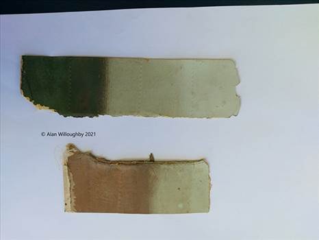 DuPont  Swatches 2 - Feb 2021 copy.jpg by LDSModeller