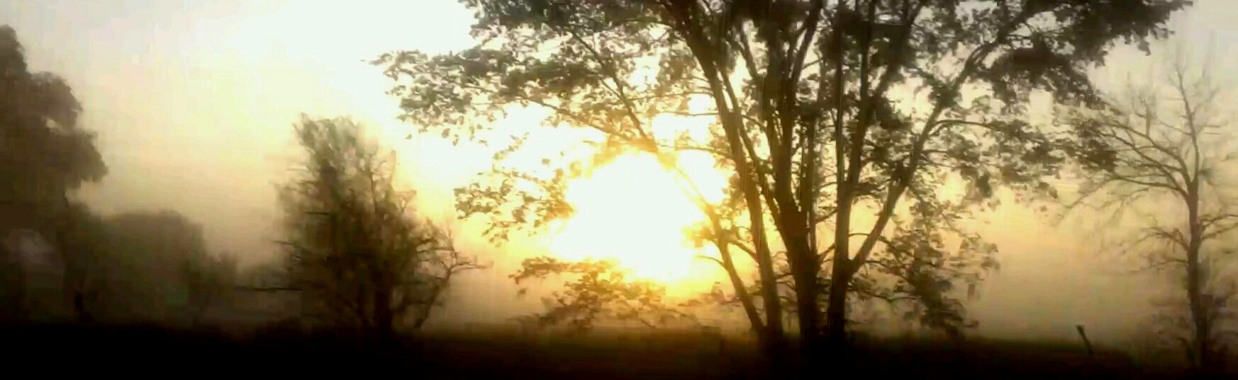 Foggy.Morning.jpg undefined by Glenn Krieger