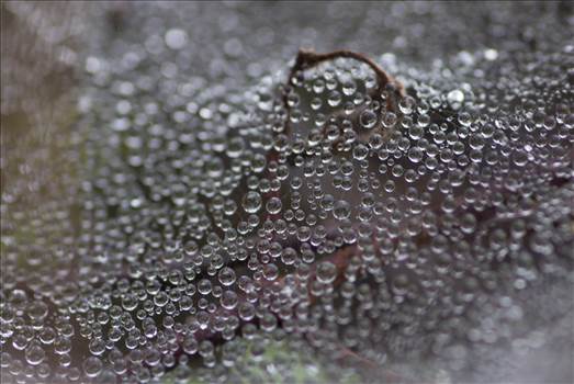 PSX_20160802_025043.jpg - undefined