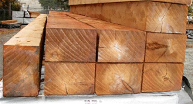 Cedar Wood by abswood
