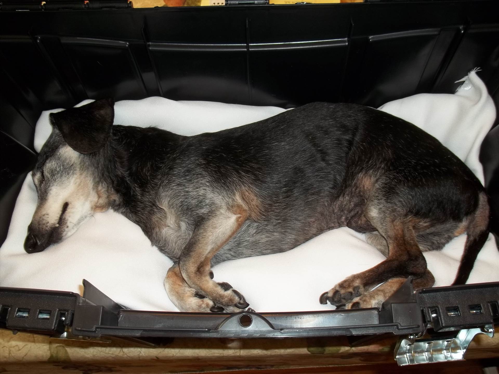 018.JPG  by Mister D