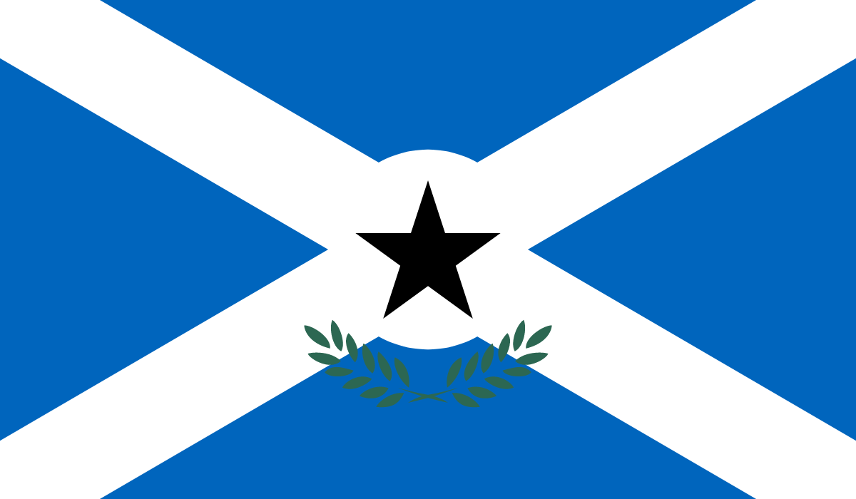 fakeflag-gh1-la1-cy1-ct1-ct2.png  by VileOne