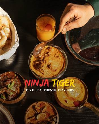 Ninja tiger.jpg by Ninjatiger