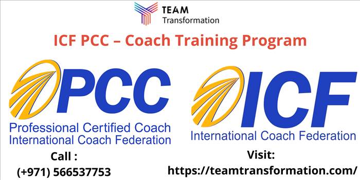 _Team Transformation URL 6.png by teamtransformation