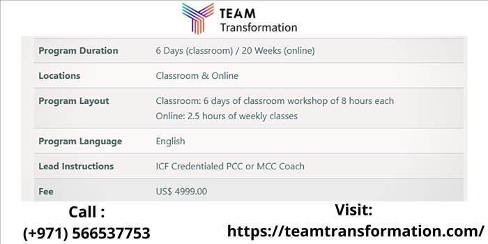 _Team Transformation URL 4.png by teamtransformation