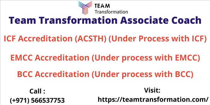_Team Transformation URL 3.png by teamtransformation