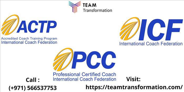 _Team Transformation URL 5.png by teamtransformation