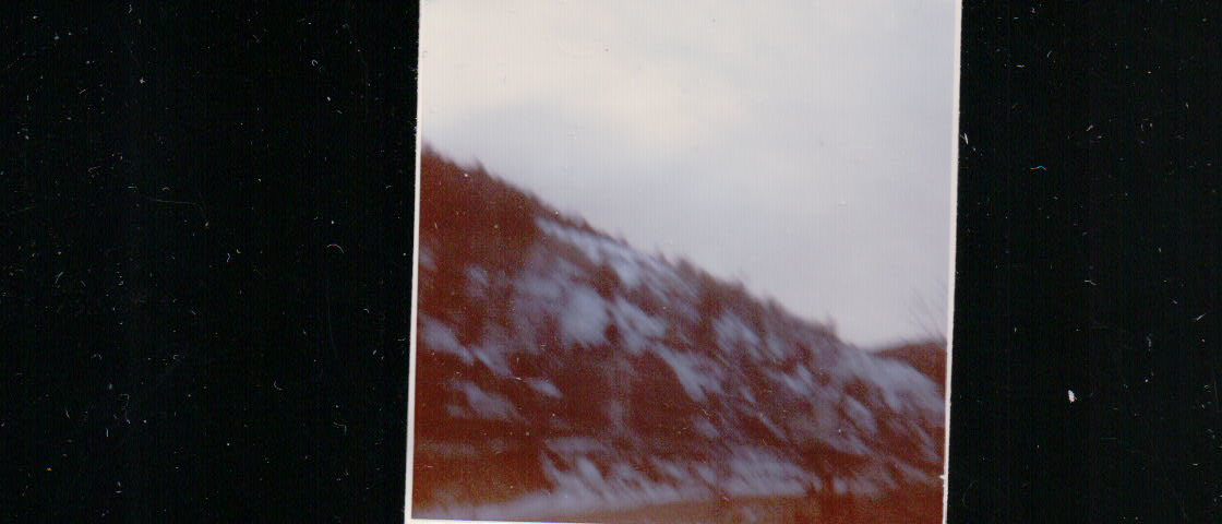 438.JPG  by Terry Kelly Photography