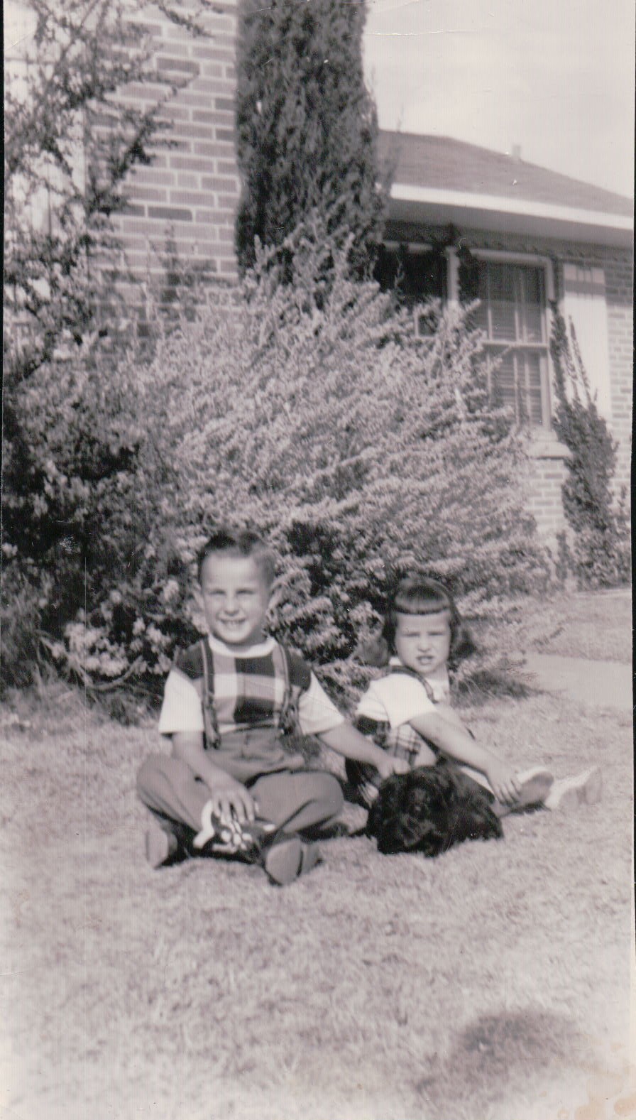 295.JPG  by Terry Kelly Photography