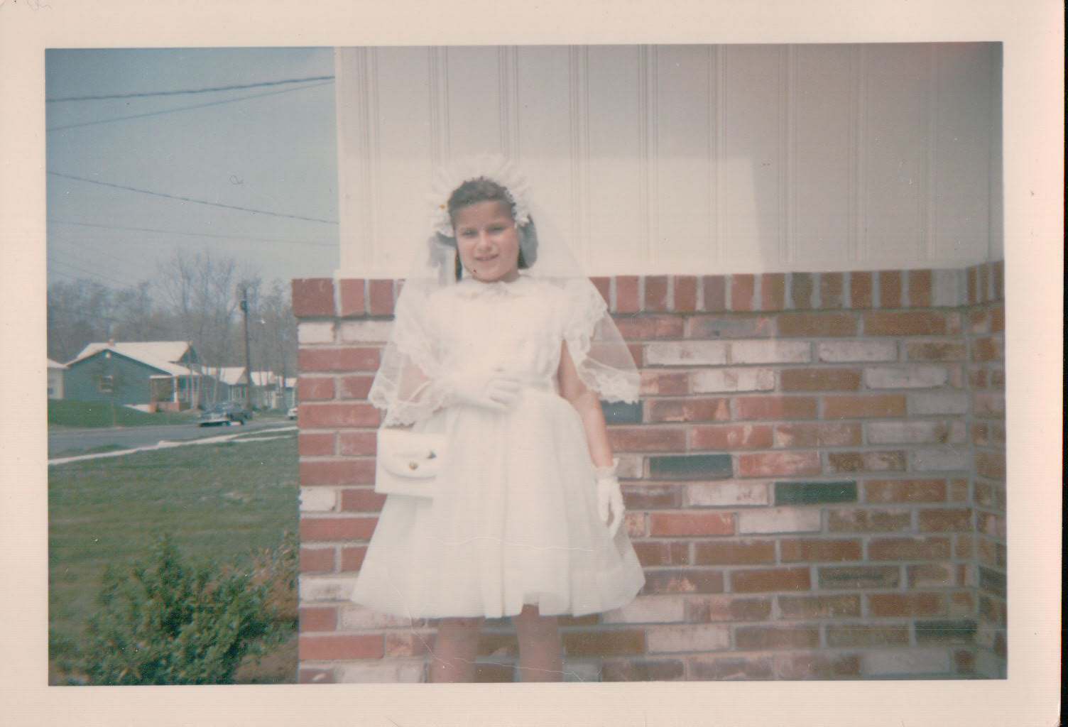 072.JPG  by Terry Kelly Photography