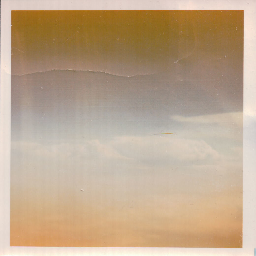 318.JPG  by Terry Kelly Photography