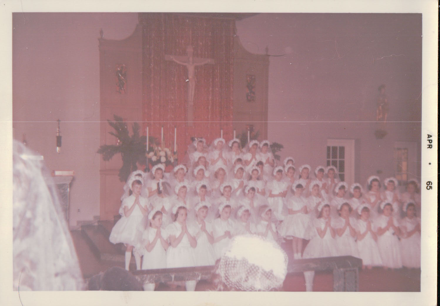 148.JPG  by Terry Kelly Photography