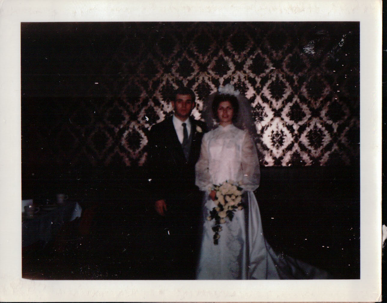 468.JPG  by Terry Kelly Photography