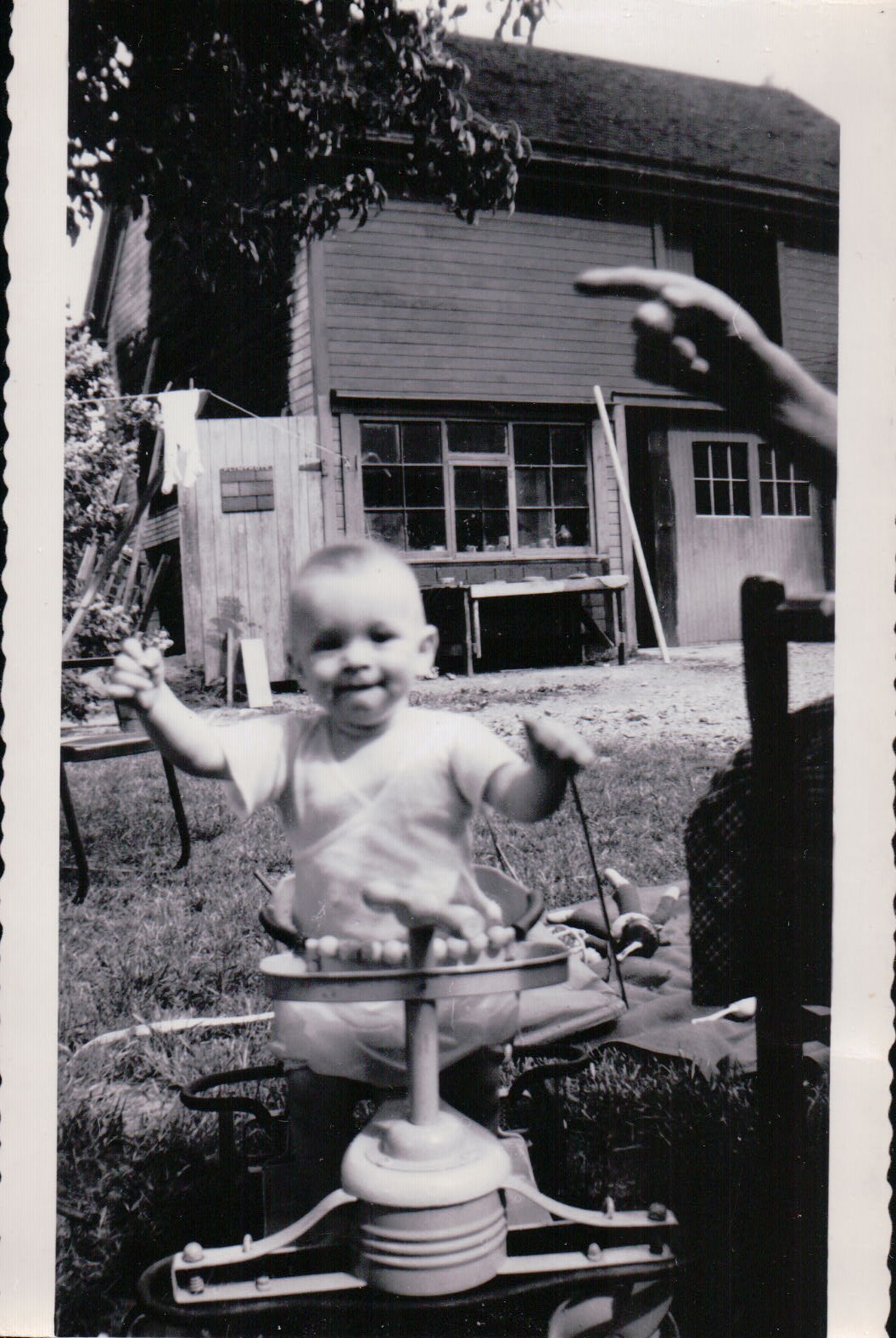 535.JPG  by Terry Kelly Photography