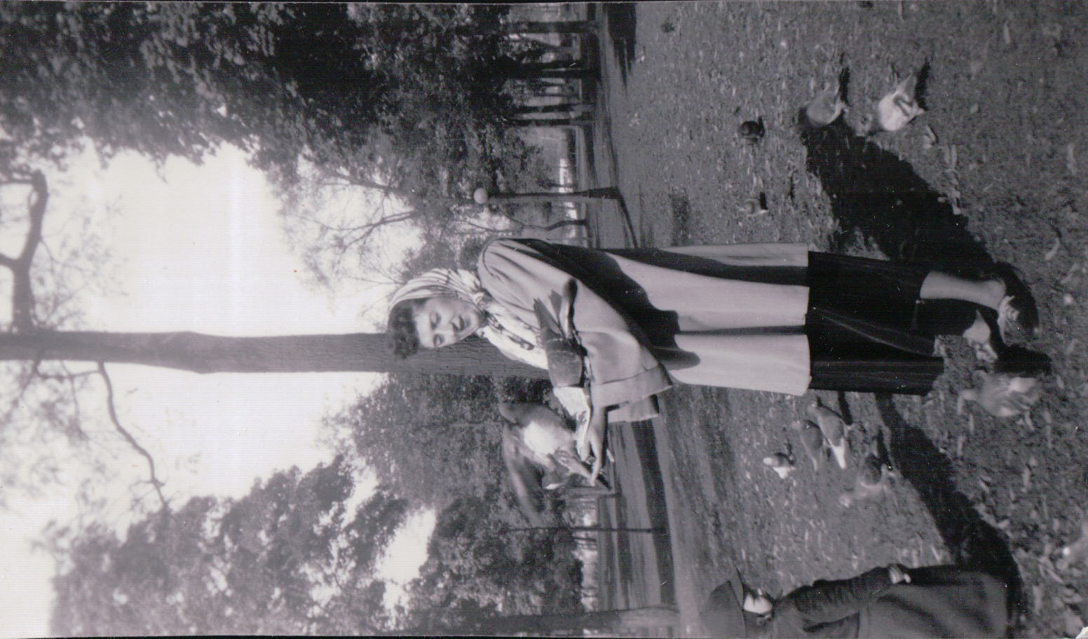 1379.JPG  by Terry Kelly Photography