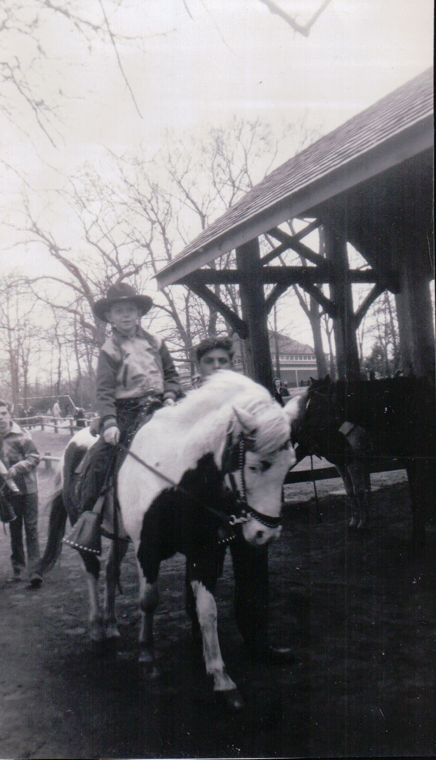 1119.JPG  by Terry Kelly Photography