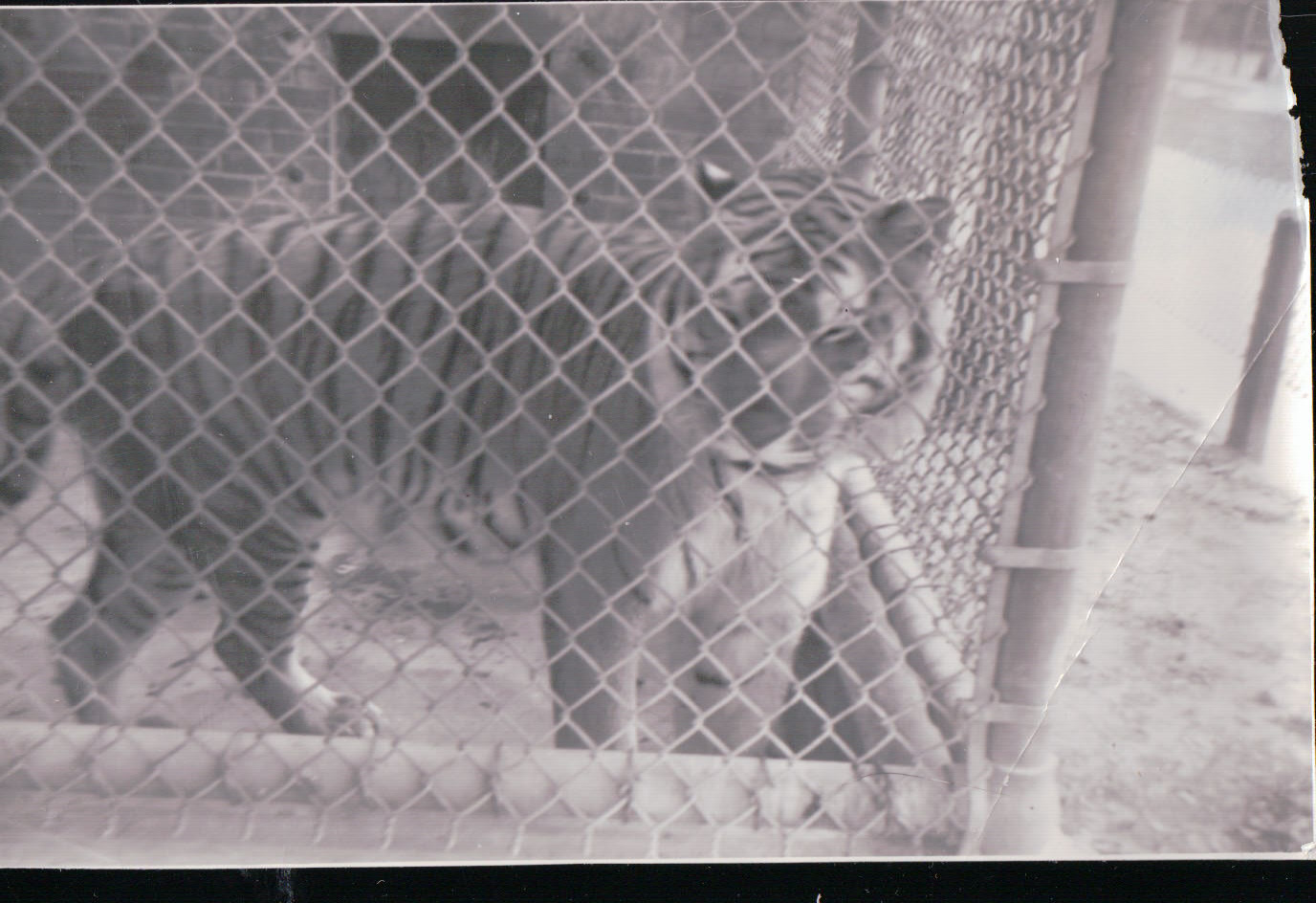 250.JPG  by Terry Kelly Photography