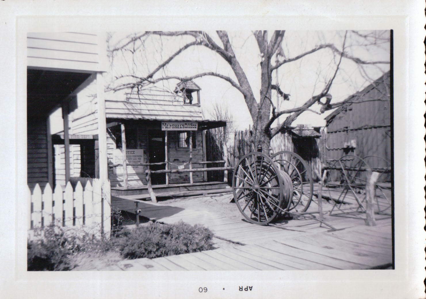 933.JPG  by Terry Kelly Photography