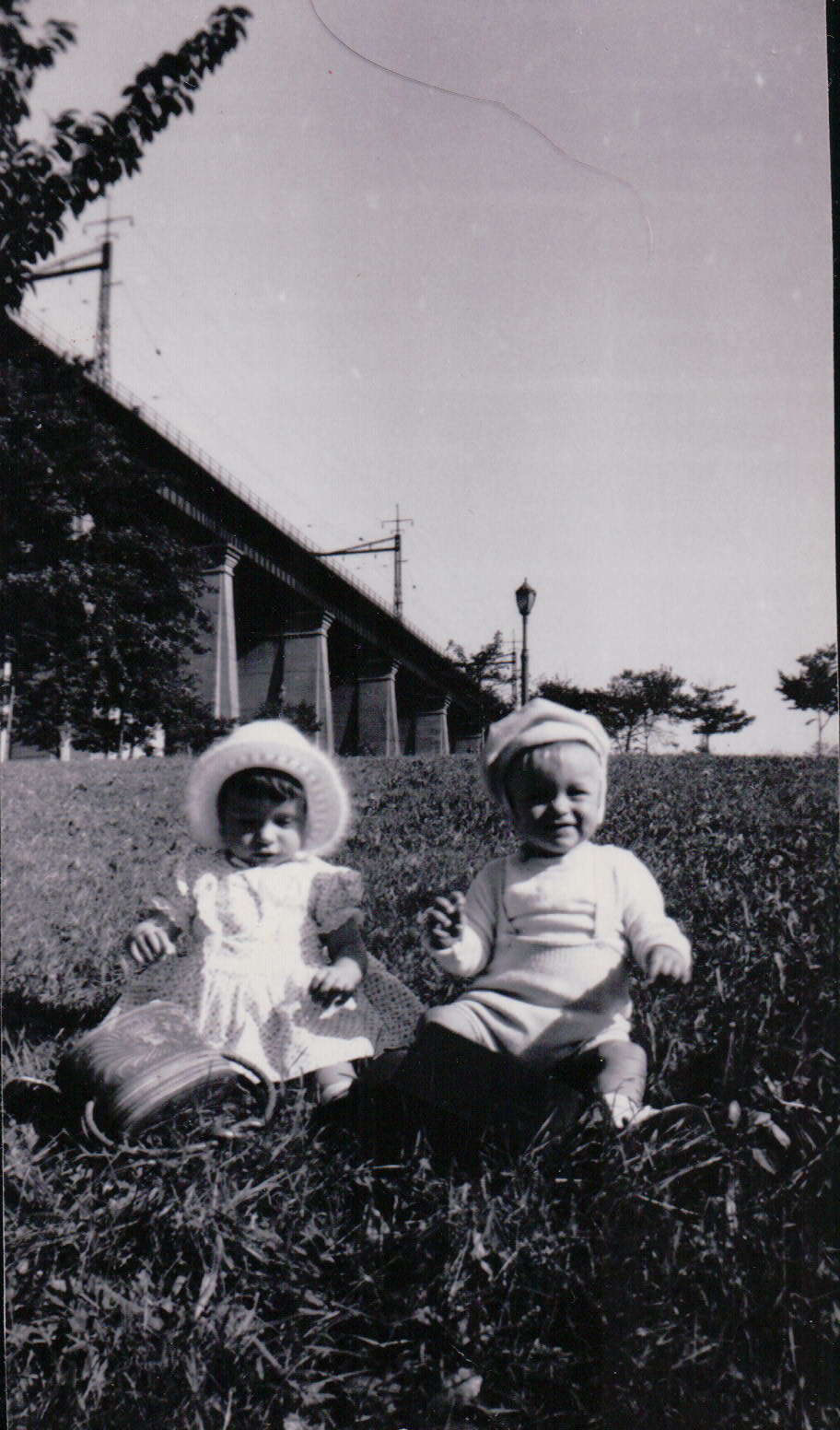 527.JPG  by Terry Kelly Photography