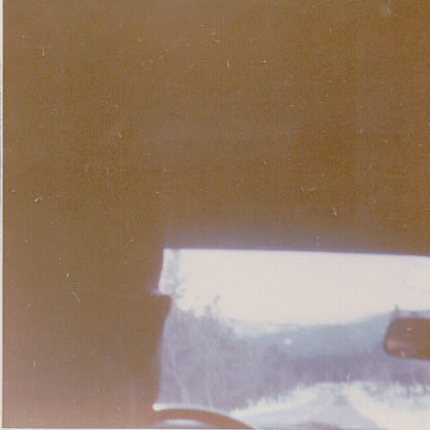 430.JPG  by Terry Kelly Photography