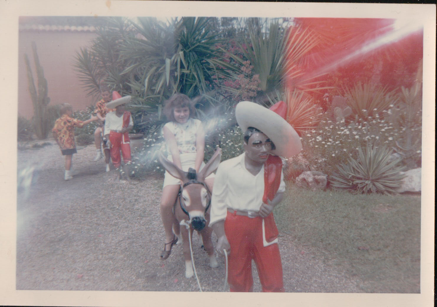 975.JPG  by Terry Kelly Photography