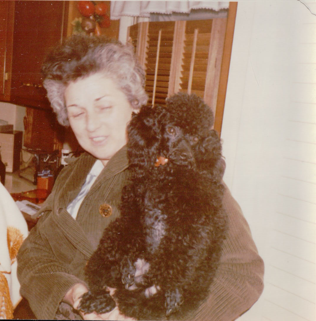 373.JPG  by Terry Kelly Photography