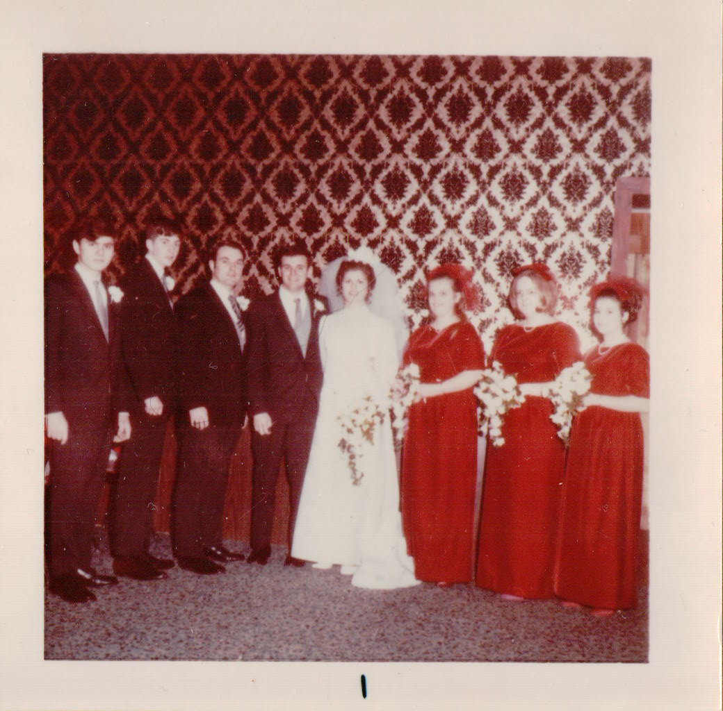 656.JPG  by Terry Kelly Photography