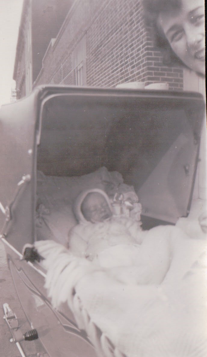 1237.JPG  by Terry Kelly Photography