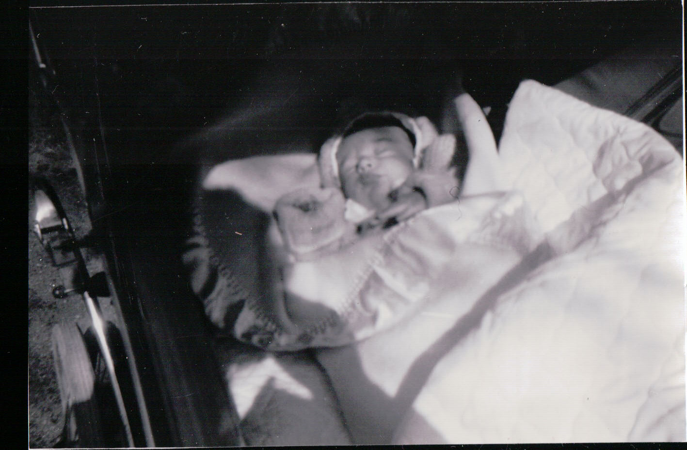 243.JPG  by Terry Kelly Photography